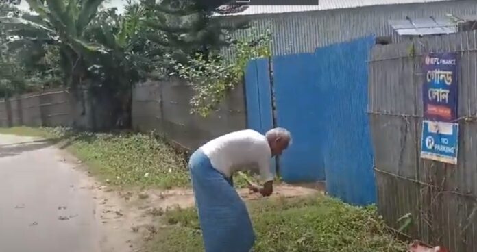 অসুস্থ এবং বৃদ্ধ দাদা