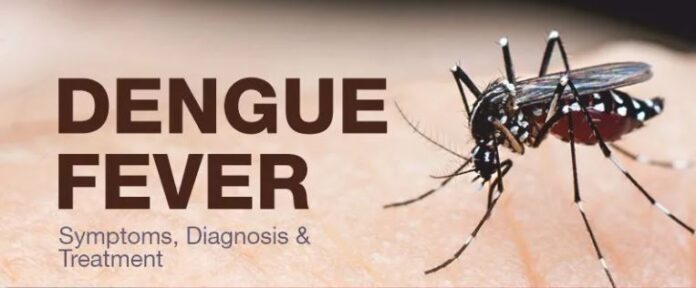 Dengue Fever - কার শরীরে কতটা ভয়ানক?