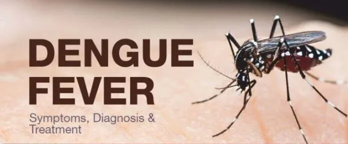 Dengue Fever - কার শরীরে কতটা ভয়ানক?
