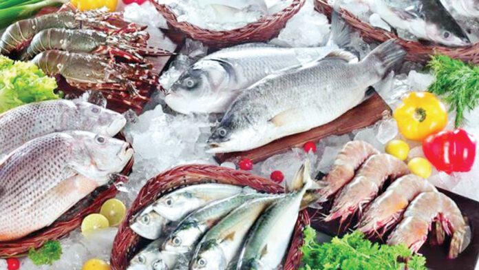 সামুদ্রিক মাছ: উপকারিতা এবং অপকারিতা