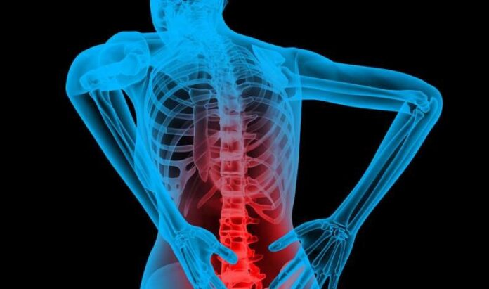 back pain ঘাড় ও পিঠব্যথা: কারণ, প্রতিকার ও প্রতিরোধ