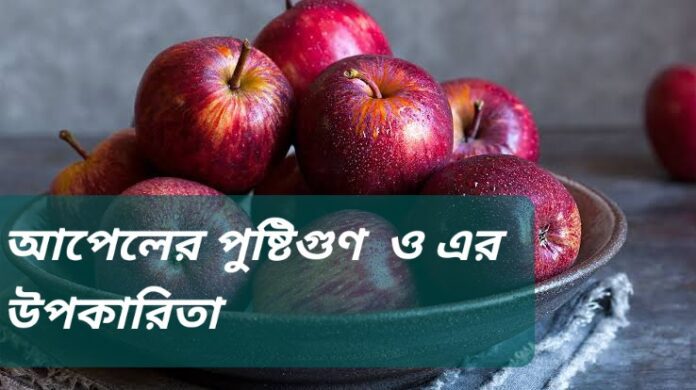 Apple : আসুন জেনে নিন খাওয়ার উপকারিতা ও অপকারিতা -