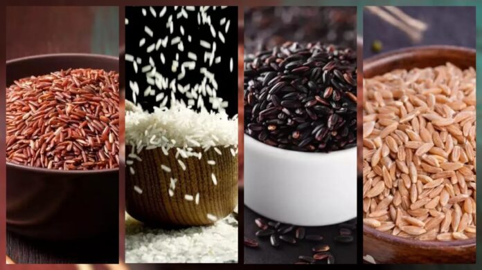 বাদামী, কালো, সাদা না লাল চাল: স্বাস্থ্যের জন্য কোনটি সেরা?