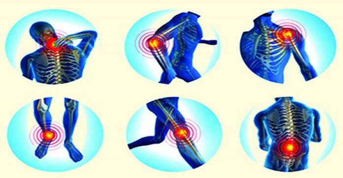 Bone Health : হাড়ের ক্ষয় ক্ষতি, আসুন জেনে নিন বাঁচার উপায় !!