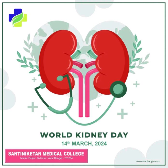 Kidney