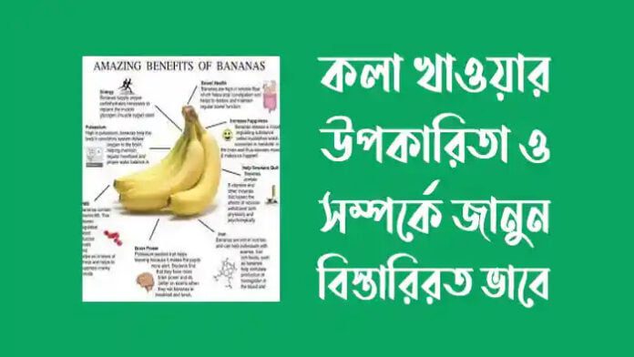 Banana Benefits : প্রতিদিন কলা খেলে কী কী উপকার ?