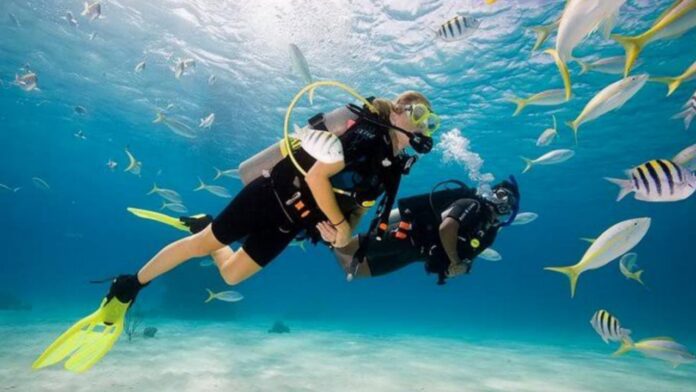 Scuba Diving in India | Uncover the Secrets of the Undersea!