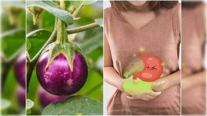 Eggplant | A mine of quality, but not for everyone!