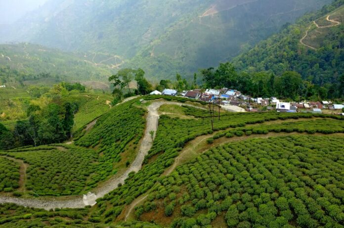 Darjeeling | Beauty of the Queen of the Hills