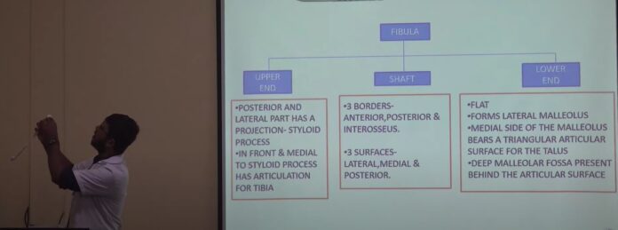 Anatomy of Fibula Bone | A Comprehensive Guide Medical Lectures by- Dr. Pritam Dey at Tripura Santiniketan Medical College