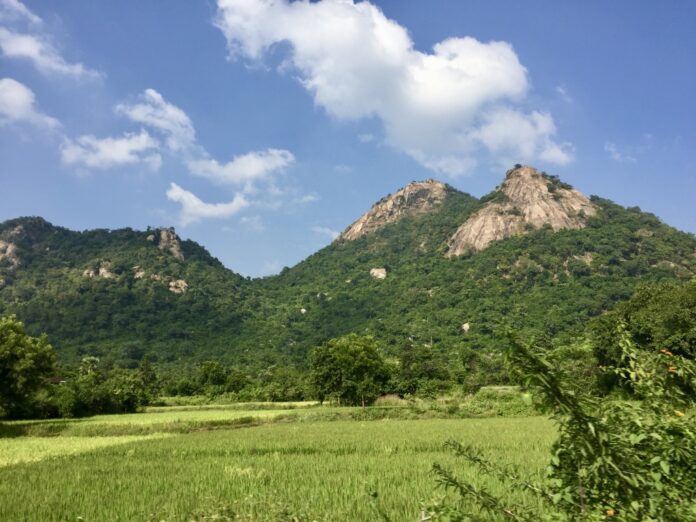 Ayodhya Hills Bans Smoking, Plastic to Protect Environment | A Strict Move for Conservation Ayodhya Hills Bans Smoking, Plastic to Protect Environment | A Strict Move for Conservation