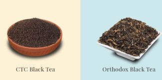 সিটিসি (CTC) নাকি পাতা চা (Orthodox): আপনার কাপে কোনটি থাকা জরুরি? CTC Tea vs. Leaf Tea | Which One Should You Choose for Your Health?