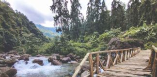 Rongo, a Heavenly Hill Station: ডুয়ার্সের বুকে এক টুকরো নির্জনতা!!!