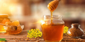 honey (মধু): প্রকৃতির সোনালি উপহার, সুস্বাস্থ্যের অমূল্য ভান্ডার!!!