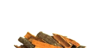 Cinnamomum: প্রাচীন ভেষজ থেকে আধুনিক সুপারফুড—একটি পূর্ণাঙ্গ গাইড!!!