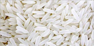 Gobindabhog Rice :মোদীর উপহারে আন্তর্জাতিক মঞ্চে বাংলার গোবিন্দভোগ!!!বিশ্বজয়ের লক্ষ্যে নতুন আশার আলো পূর্ব বর্ধমানের চাষিদের চোখে!!!