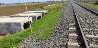 Railway Underpass: মানুষ নয়, সিংহ ও বন্যপ্রাণীদের সুরক্ষায় তৈরি হলো বিশেষ ‘লায়ন আন্ডারপাস’