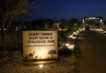 Desert-Themed Night Safari Zoo: মরুভূমির বুকে এশিয়ার প্রথম নাইট সাফারি: গুজরাটের বনাসকাঁটায় বন্যপ্রাণী পর্যটনে এক অভূতপূর্ব যুগান্তকারী অধ্যায়!!!